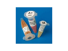 Этикетки Brady BPT-636-461 / 48,26x25,4мм, B-461